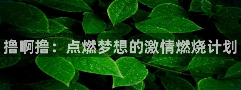 神马影院高清：撸啊撸：点燃梦想的激情燃烧计划